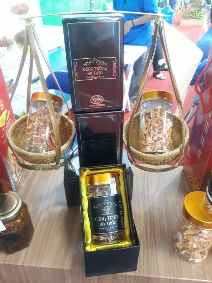 Đông trùng hạ thảo khô - Ảnh 2