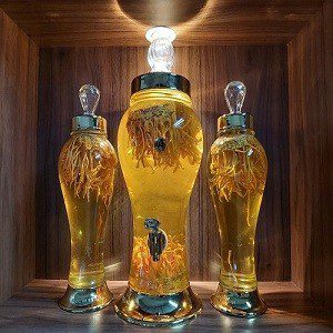 Rượu đông trùng hạ thảo