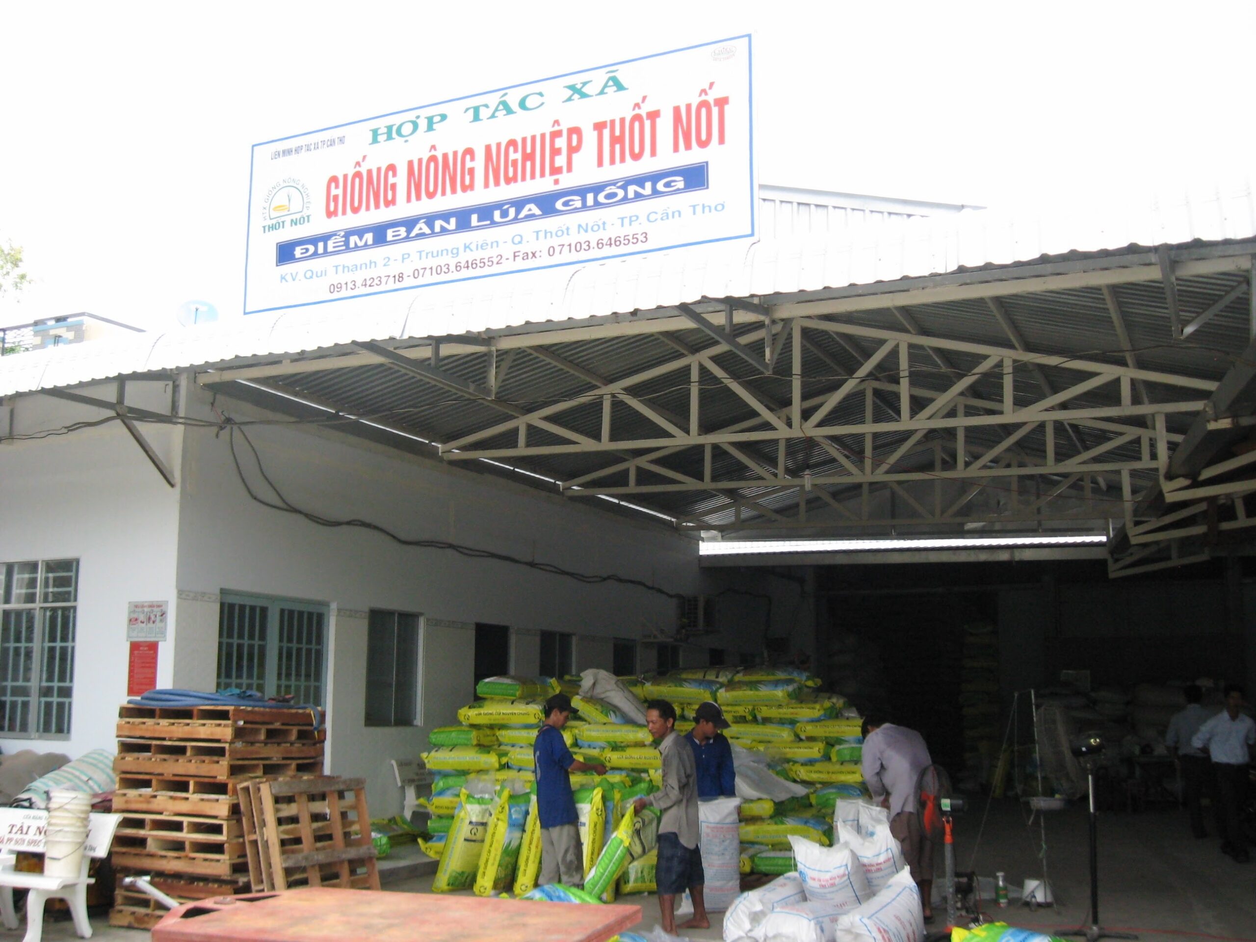 Manthanh
