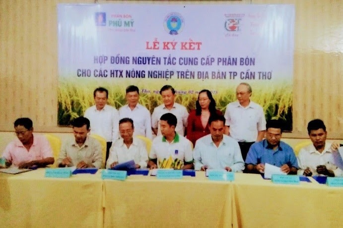 Tham Quan Trao Doi Kinh Nghiem Tai Lhhtx Nn Tien Giang Tinh Tien Giang