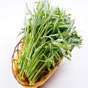 Hợp tác xã Hoà Phát - Rau muống