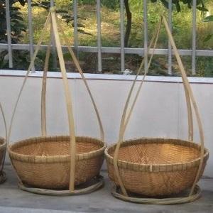 Giống gánh