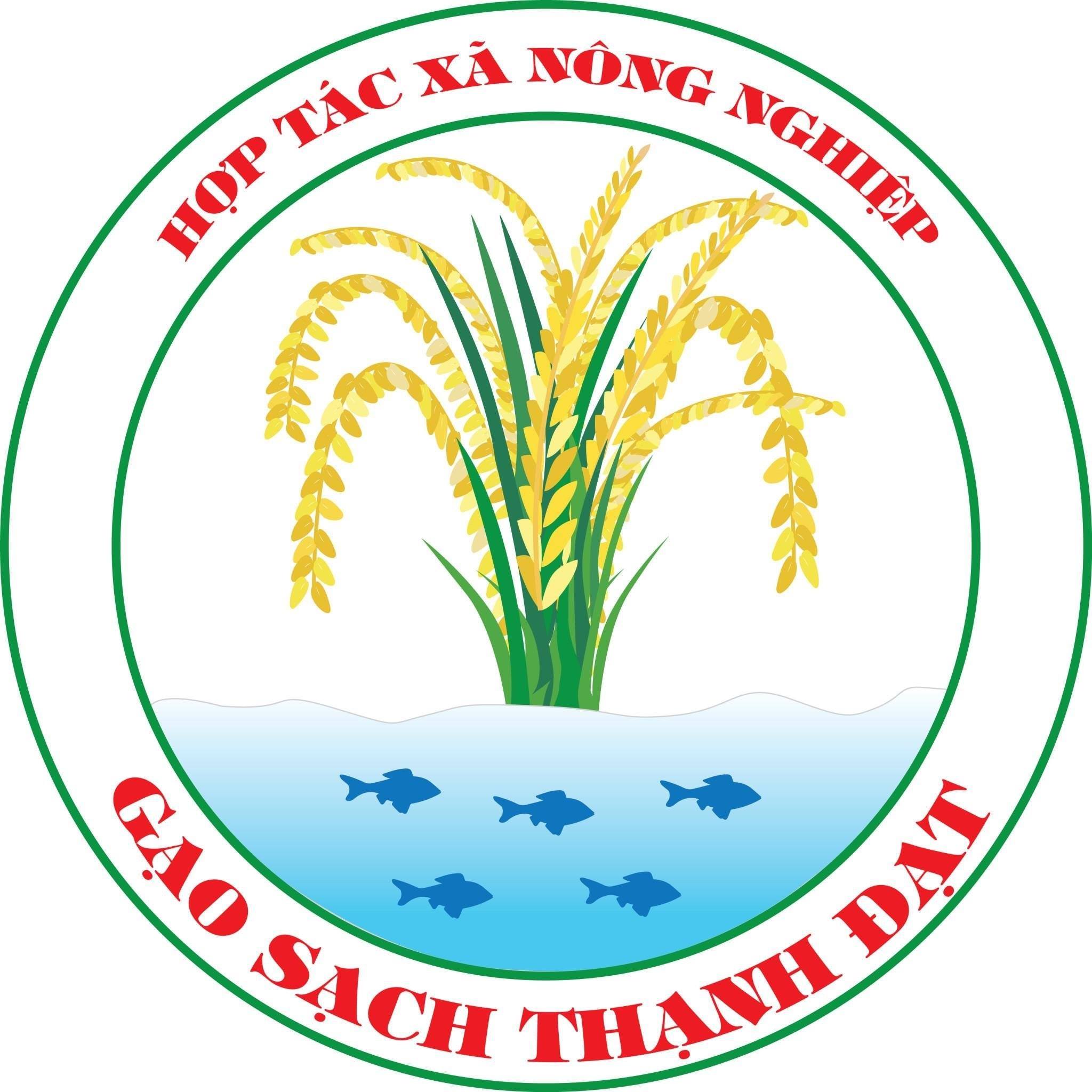HTX Gạo sạch Thạnh Đạt