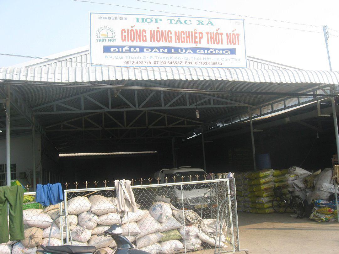 Hợp tác xã Giống nông nghiệp Thốt Nốt