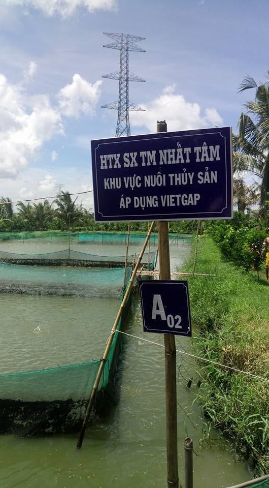 ĐHTT 2019 – HTX SX – TM Nhất Tâm