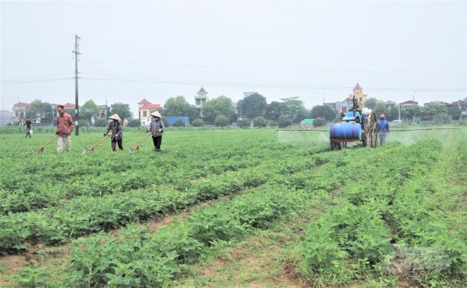 ĐHTT 2019 – HTX Hoa Kiểng Phó Thọ