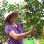  Quyết tâm chuyển đổi canh tác giúp nông dân HTX Uy Nỗ ‘đổi đời’